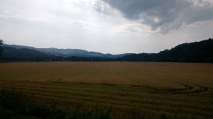 IMG_20140726_102429667