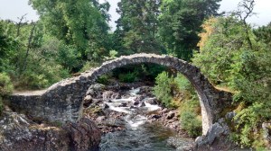 IMG_20140727_142746684_HDR